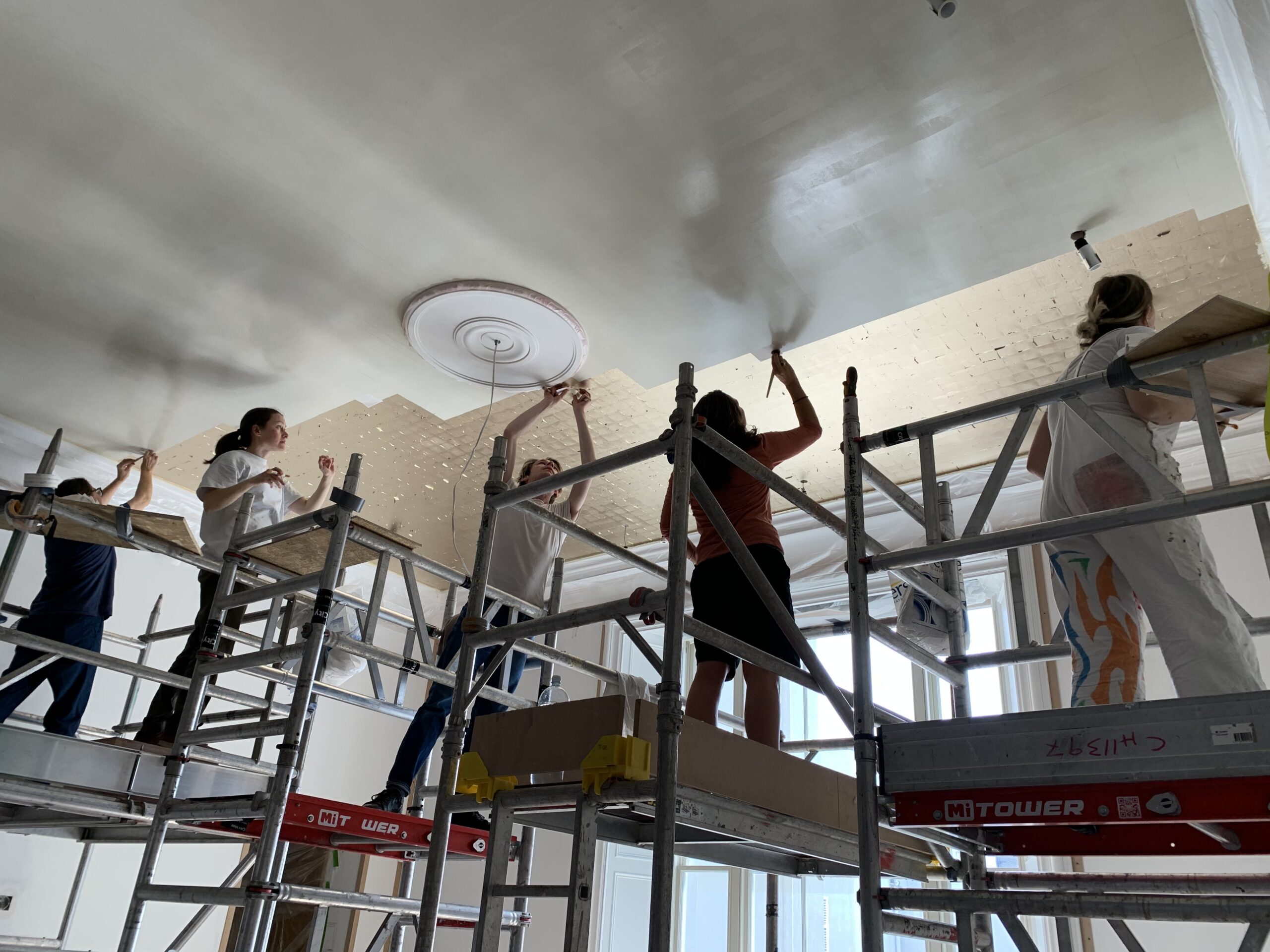 Site decoration gilding ceiling